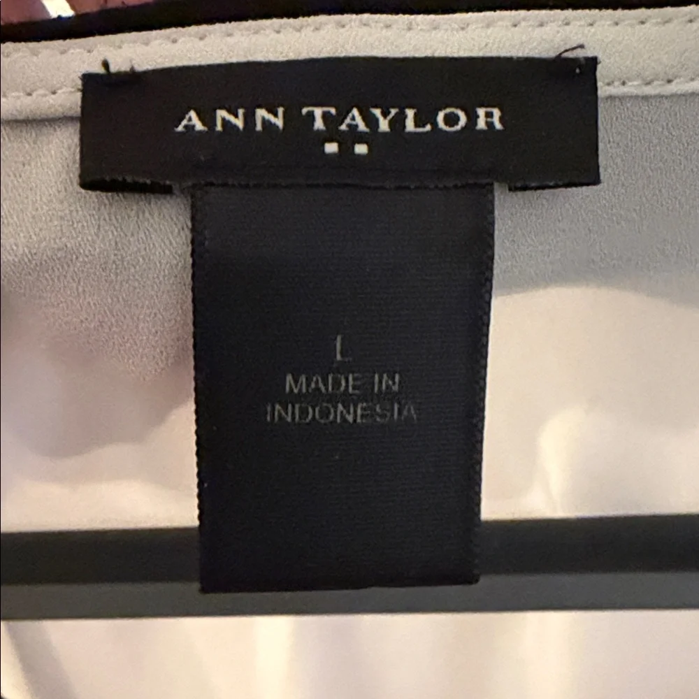 Ann Taylor Factory Cream Blouse with Black Trim - V-Neck Short Sleeve Top - Picture 3 of 3